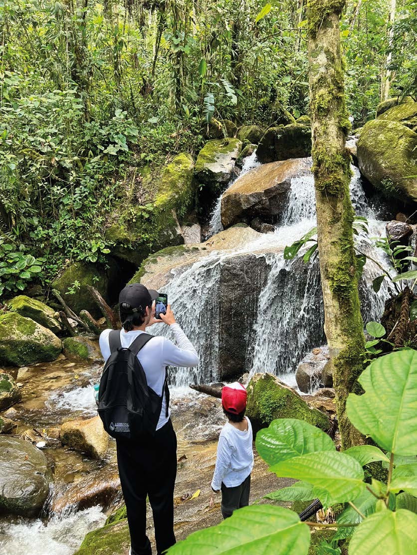 Grupo cruza un arroyo en medio del bosque